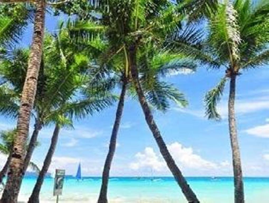 Boracay Coco Huts Hotel Balabag  ภายนอก รูปภาพ